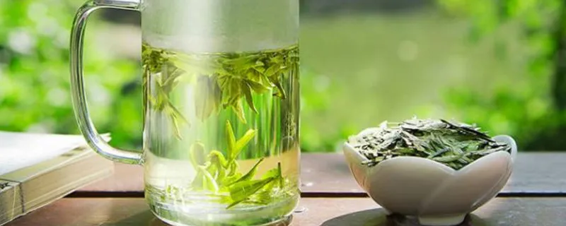 大佛龙井是绿茶吗