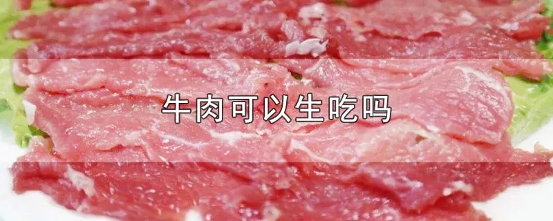 牛肉可以生吃吗