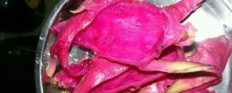 火龙果皮能吃吗