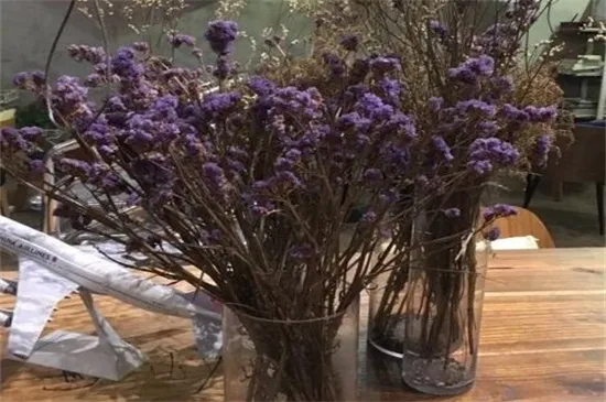 干花插花步骤，选择干花后整理花束扦插入瓶