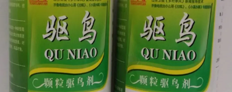 怎么防止麻雀吃果子