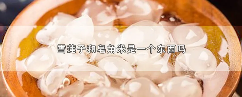 雪莲子和皂角米是一个东西吗