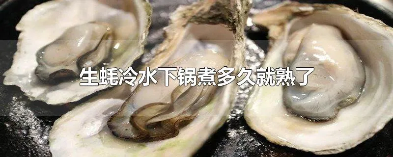 生蚝冷水下锅煮多久就熟了