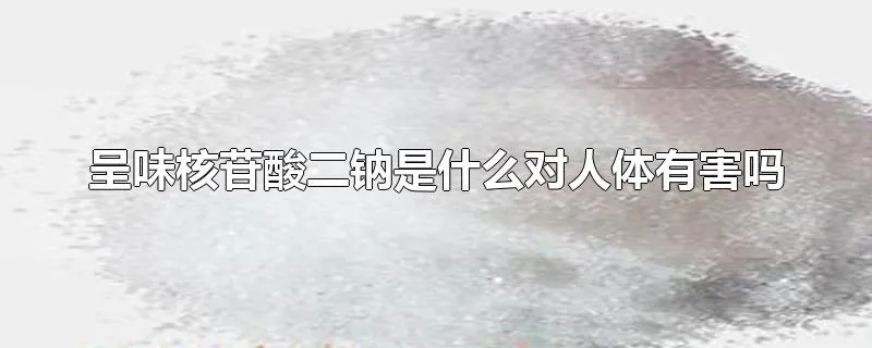 呈味核苷酸二钠是什么对人体有害吗