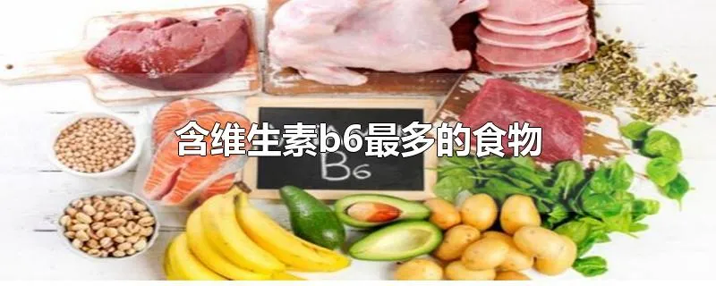 含维生素b6最多的食物