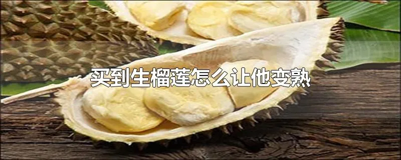 买到生榴莲怎么让他变熟