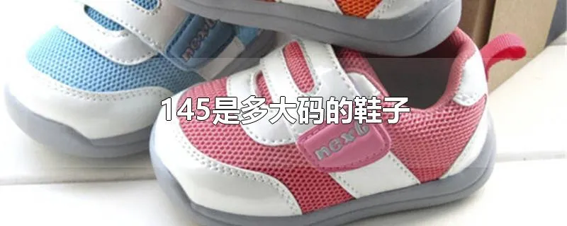 145是多大码的鞋子