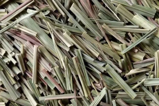 香草和香茅草一样吗