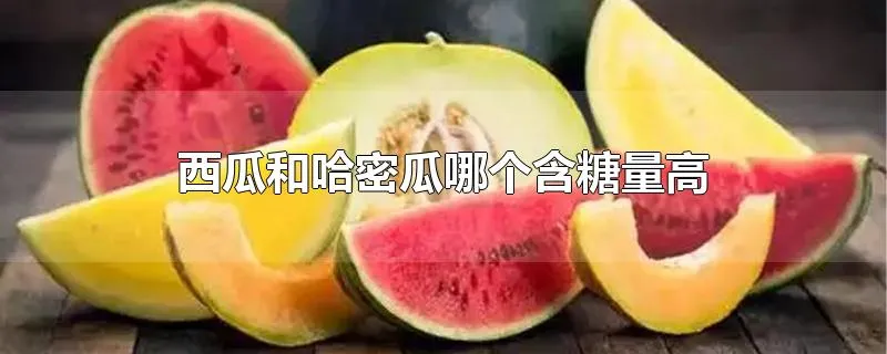 西瓜和哈密瓜哪个含糖量高