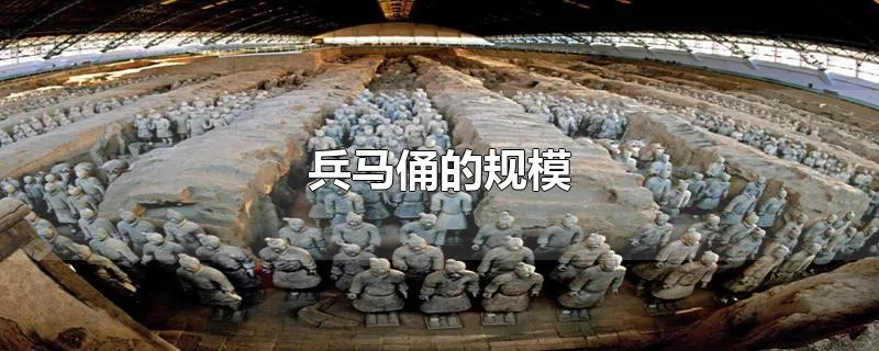 兵马俑的规模