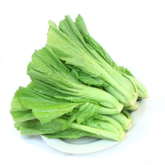 芥菜的功效与作用 芥菜的功效与作用