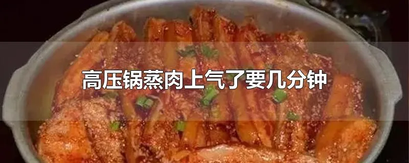 高压锅蒸肉上气了要几分钟