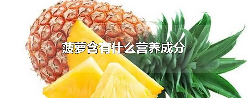 菠萝含有什么营养成分