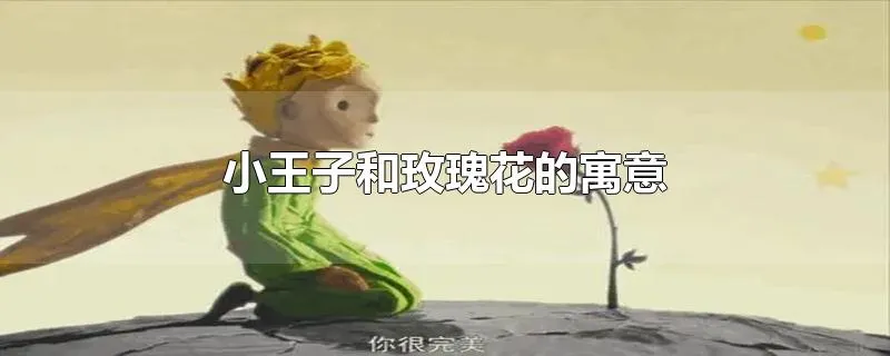 小王子和玫瑰花的寓意