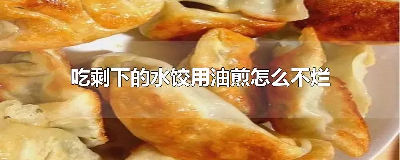 吃剩下的水饺用油煎怎么不烂