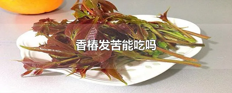 香椿发苦能吃吗