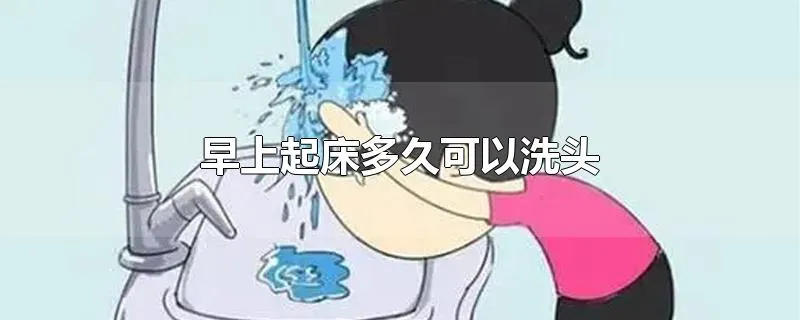 早上起床多久可以洗头