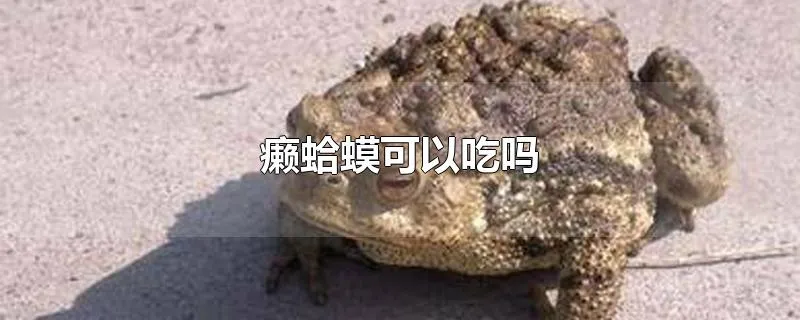 癞蛤蟆可以吃吗