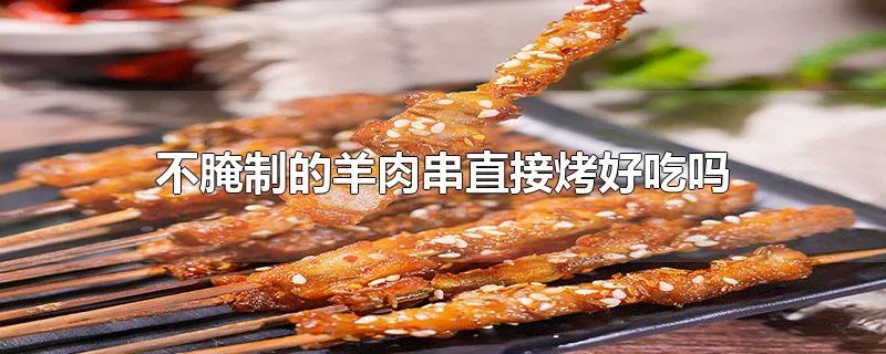 不腌制的羊肉串直接烤好吃吗