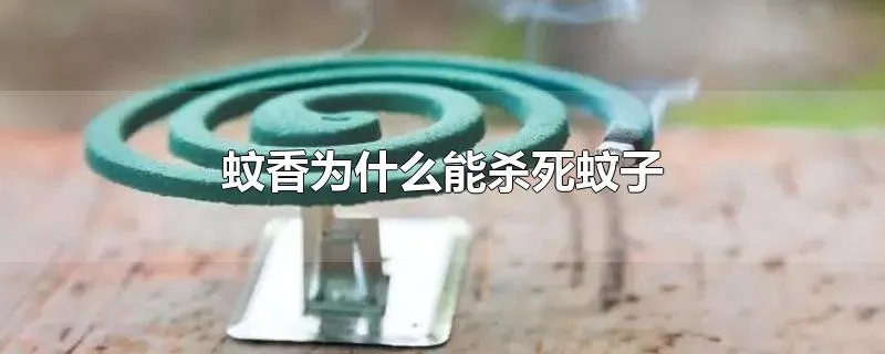 蚊香为什么能杀死蚊子