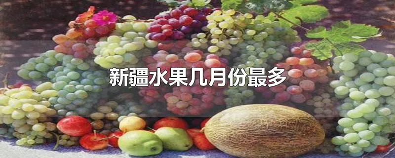 新疆水果几月份最多