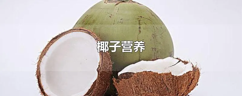 椰子营养