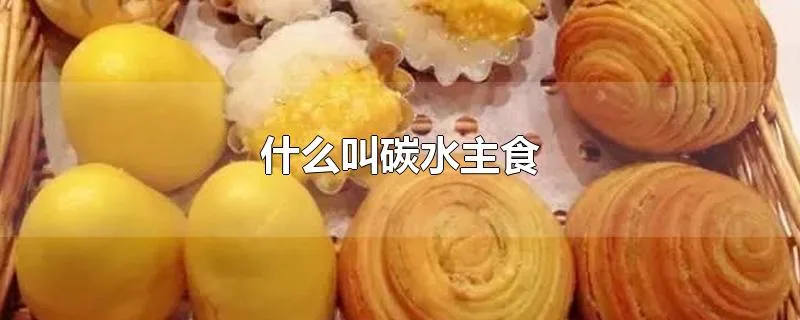 什么叫碳水主食