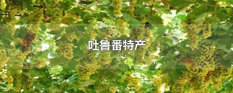 吐鲁番特产