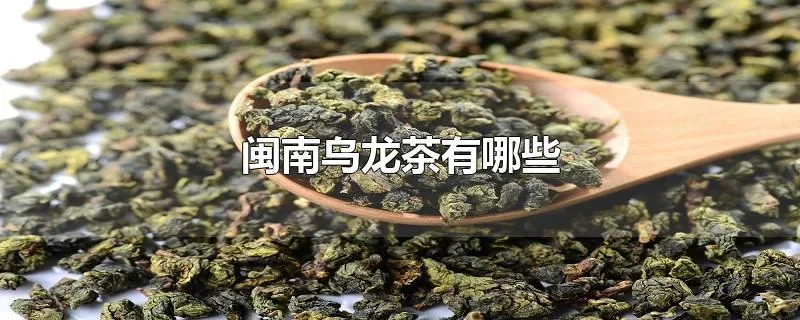 闽南乌龙茶有哪些