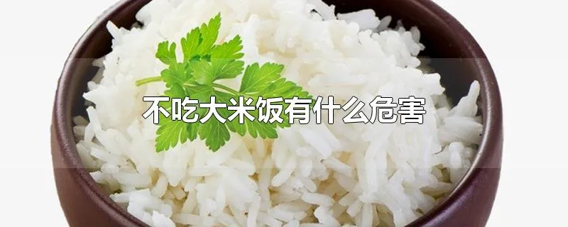不吃大米饭有什么危害