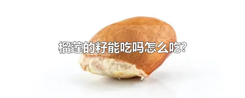 榴莲的籽能吃吗怎么吃?