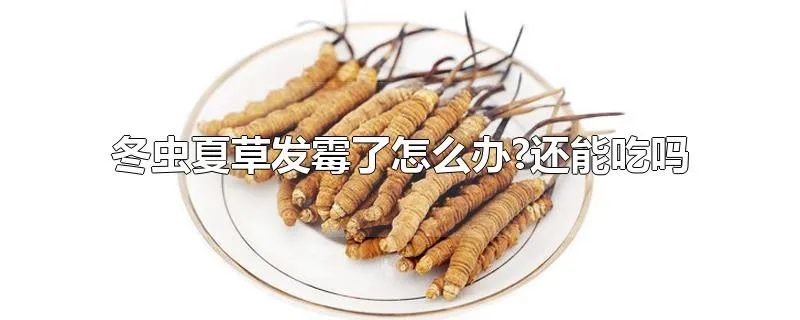 冬虫夏草发霉了怎么办?还能吃吗