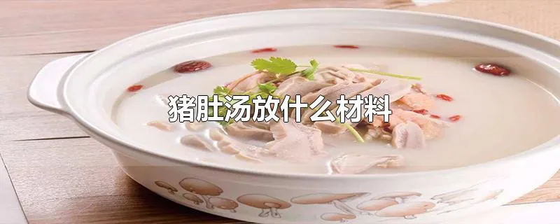 猪肚汤放什么材料