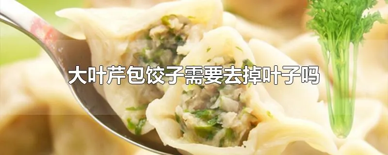 大叶芹包饺子需要去掉叶子吗