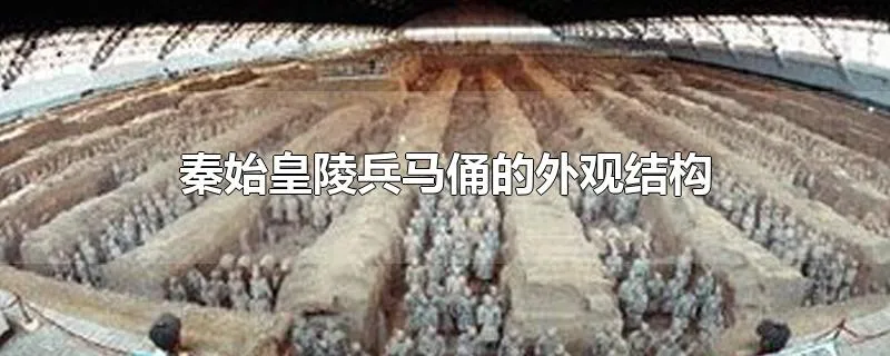 秦始皇陵兵马俑的外观结构
