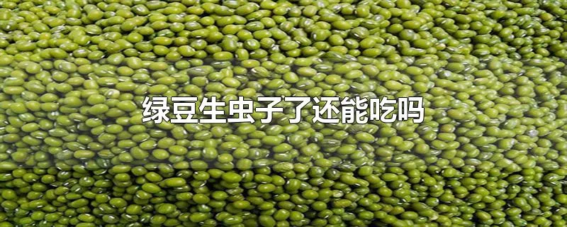 绿豆生虫子了还能吃吗