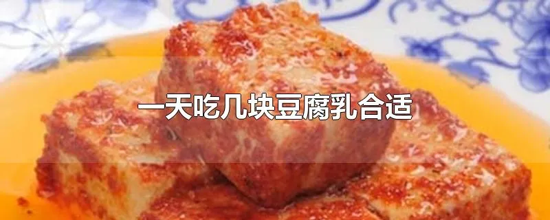 一天吃几块豆腐乳合适