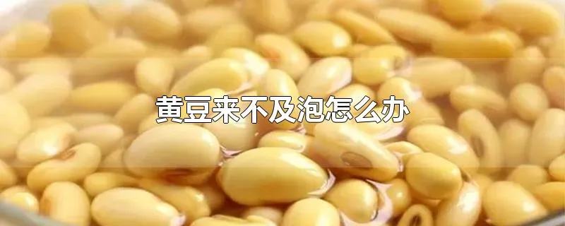 黄豆来不及泡怎么办