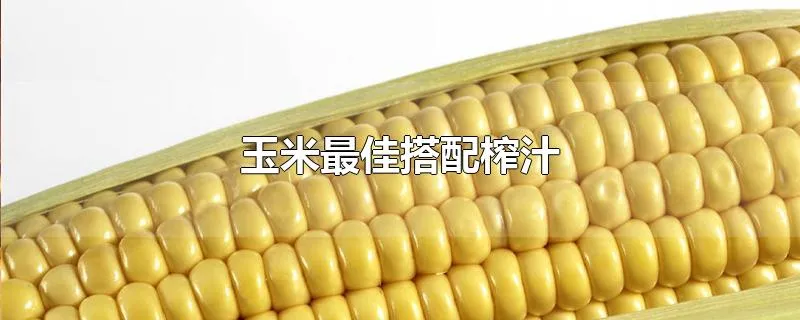 玉米最佳搭配榨汁