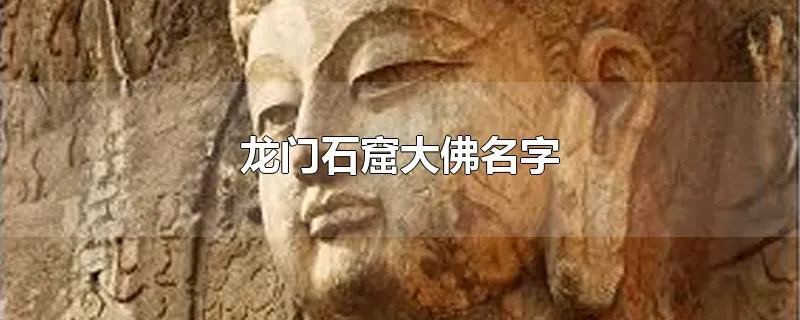 龙门石窟大佛名字