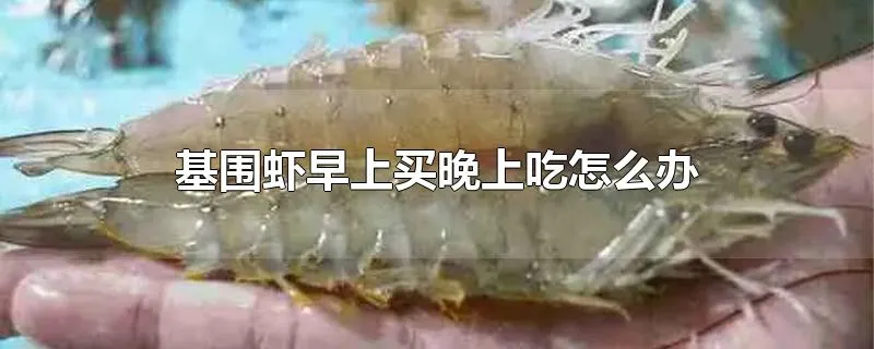 基围虾早上买晚上吃怎么办