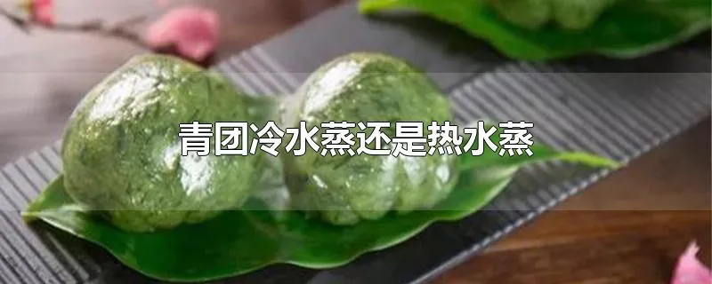 青团冷水蒸还是热水蒸