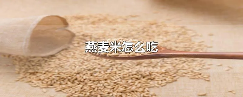 燕麦米怎么吃