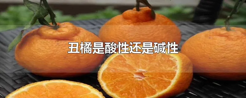 丑橘是酸性还是碱性