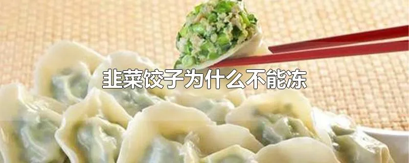 韭菜饺子为什么不能冻