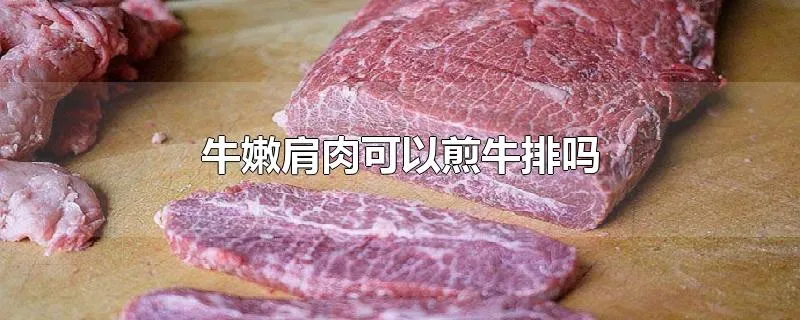 牛嫩肩肉可以煎牛排吗