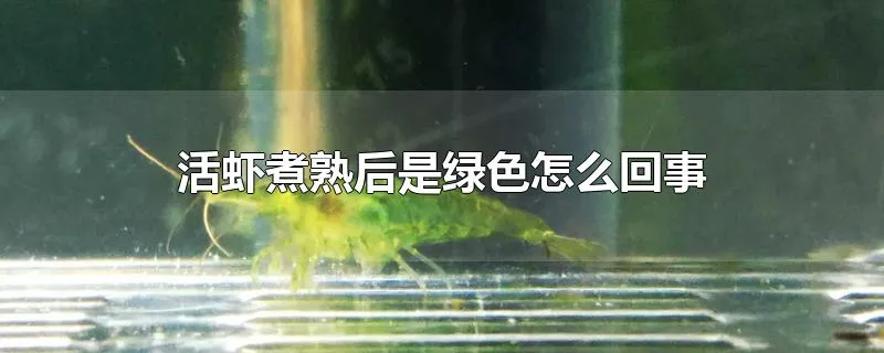 活虾煮熟后是绿色怎么回事