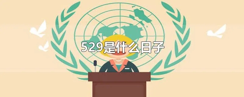 529是什么日子