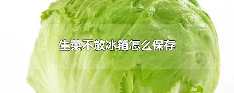 生菜不放冰箱怎么保存