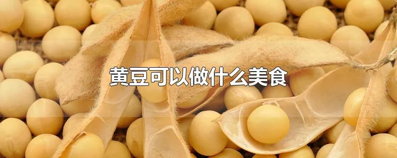 黄豆可以做什么美食